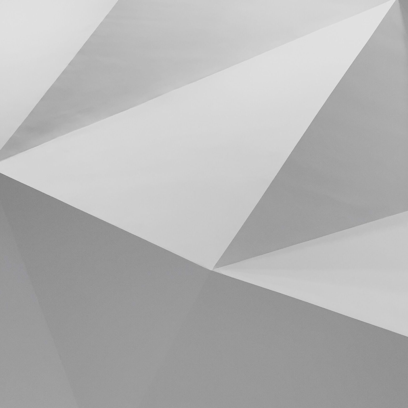 shapelined-_JBKdviweXI-unsplash shapelined-_JBKdviweXI-unsplash